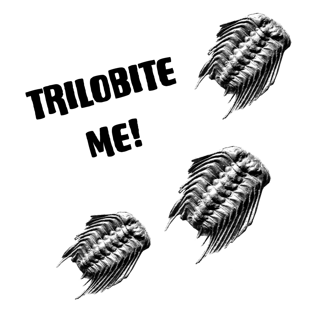 trilobiteme 2023